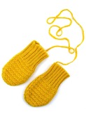 wanten Noel yellow | aymara
