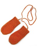 wanten Robin orange | aymara