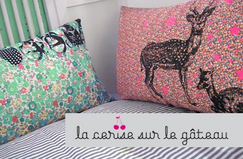 la cerise sur le gâteau