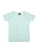 basic organic t-shirt