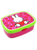 grote lunchbox Nijntje fruit
