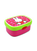 kleine lunchbox Nijntje fruit