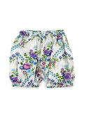 bloomer 'hawaian original'