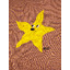 Starfish sweatshirt - Bobo Choses