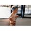 Waves culotte - Bobo Choses