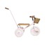 Banwood Trike - pink - Banwood