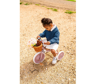 Banwood Trike - dusty pink - Banwood
