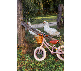 First go! - dusty pink - Banwood