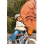 Classic helmet - matte beige - Banwood