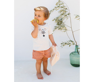 BB Zebra t-shirt - talc│Buho