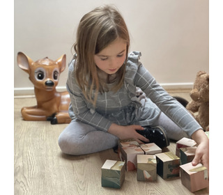 Kubuspuzzel 9 stuks - bos - Egmont Toys