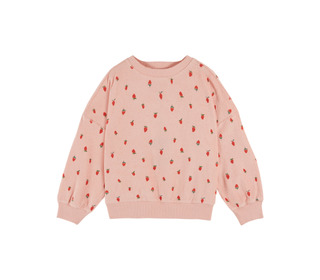 Sweatshirt eponge imprime - guariguette - Emile et Ida