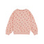 Sweatshirt eponge imprime - guariguette - Emile et Ida