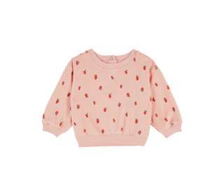 Sweatshirt eponge imprime - guariguette - Emile et Ida