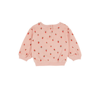 Sweatshirt eponge imprime - guariguette - Emile et Ida