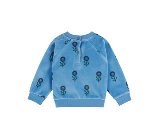 Sweat velours marguerite blue - margot - Emile et Ida