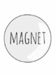 magneet 55 mm