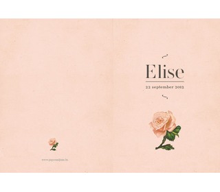 roosje roze - Paper and June