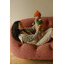 Vest Harvey Baby - apricot - Hvid