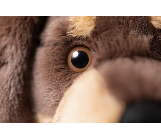 Otto Sausage Dog medium - Jellycat Otto Sausage Dog medium - Jellycat