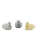 Pondering ducks - quarry mix