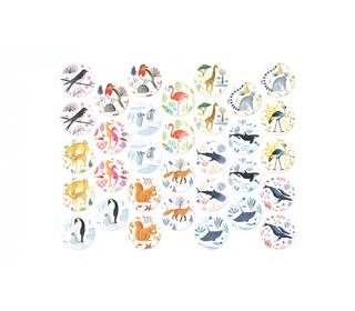 Wildlife memo - Londji