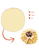 Noomad original - vichy yellow