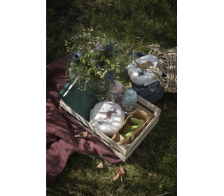 Lunch box w/divider, Nightfall - dreamy rose - Sebra