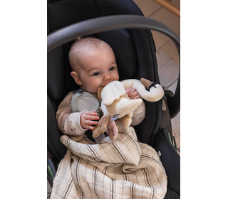 Activity hanging toy - swan - Sebra