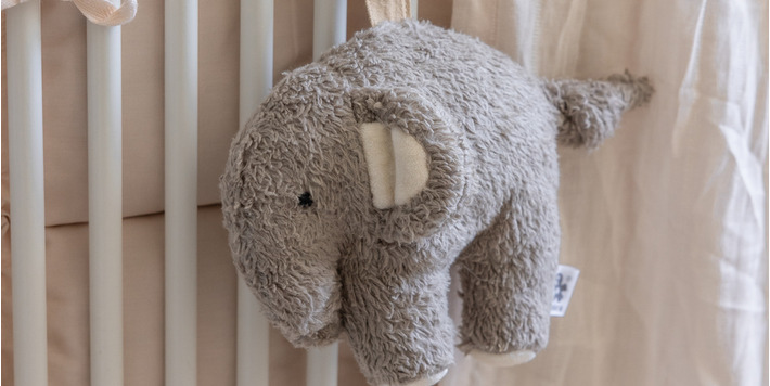 Sebra • Musical pull toy Fanto - grey