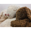 Cuddly animal bear small - linen - Senger Naturwelt