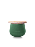 Dynamic small - water lily