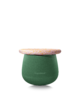 Dynamic small - water lily