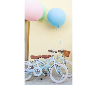 Classic bike vintage - pale mint - Banwood