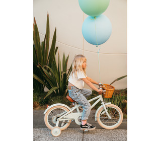 Classic bike vintage - pale mint - Banwood