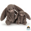 Bashful truffle bunny medium - Jellycat