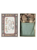 Twins - baby mice in matchbox