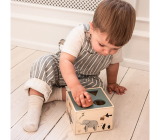 Shape sorter, wooden - World of Sebra - Sebra
